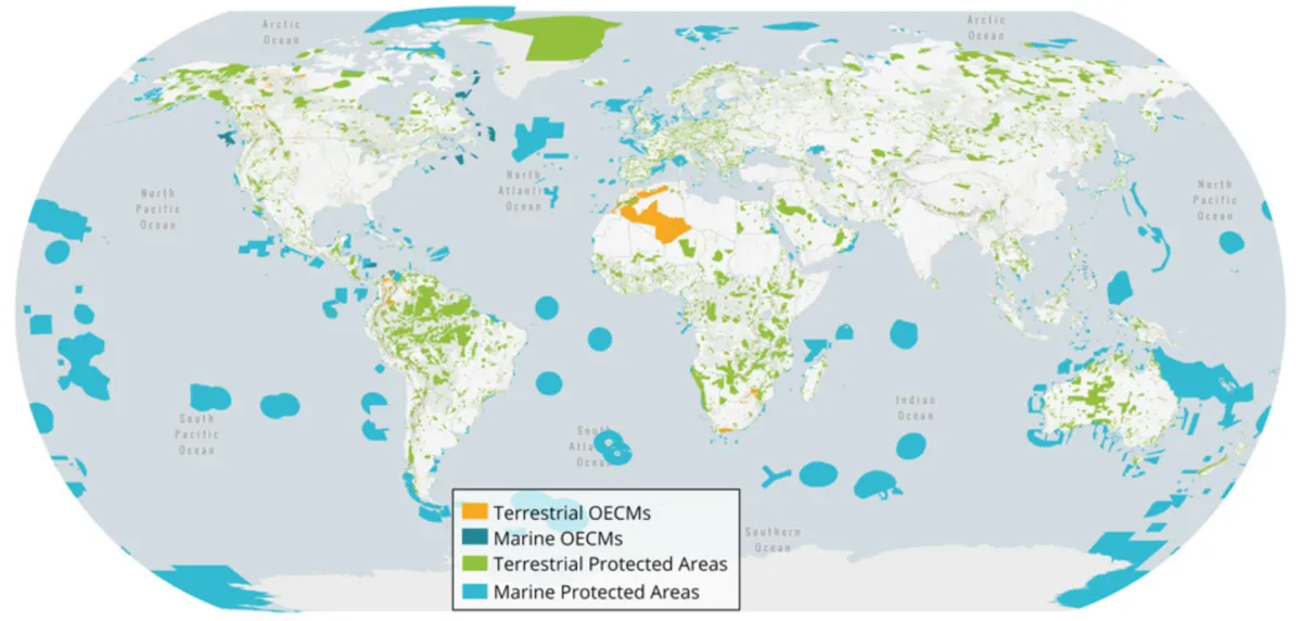 Team_Utopia_org__wwf__protectednature.webp