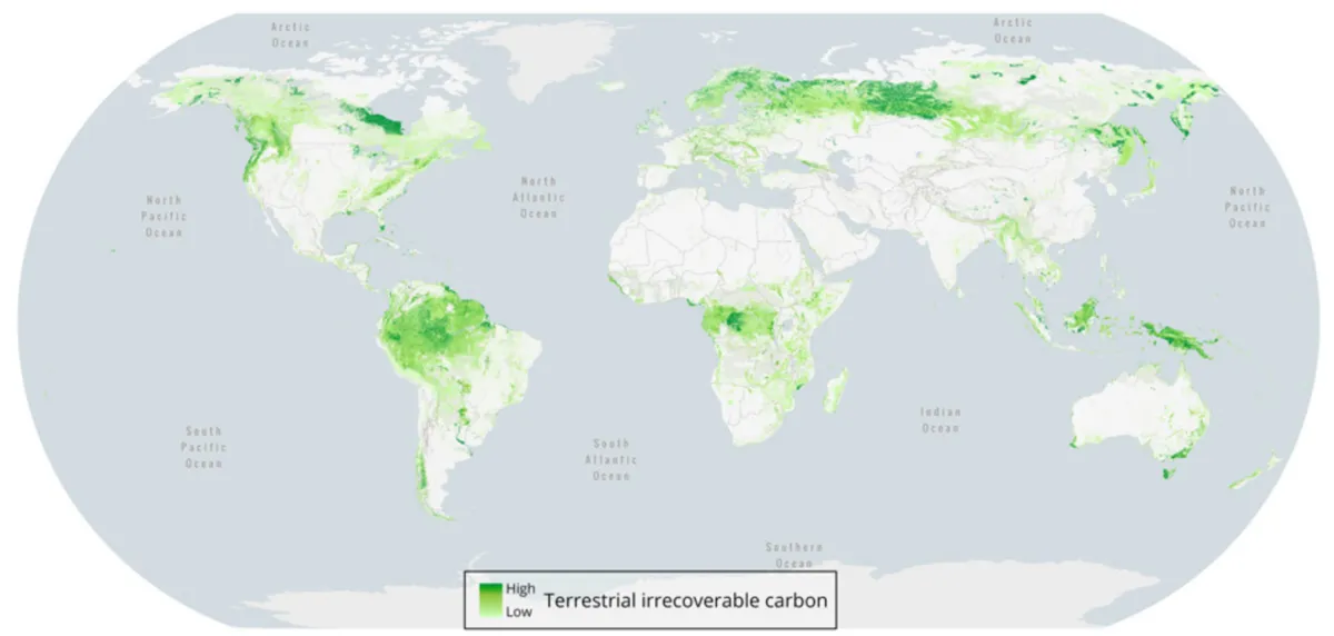 Team_Utopia_org__wwf__terrestialirrecoverablecarbon.webp